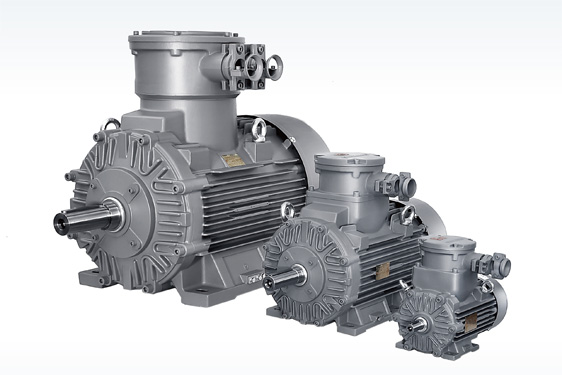 1MB1/5系列低壓隔爆電機